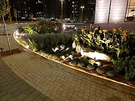 דוקרן גינה לד דוקרן גינה לד