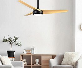 ������ ���� ����� DANIEL 52"